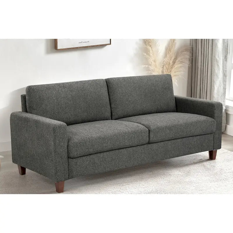 Canapé de salon rembourré de style transitoire