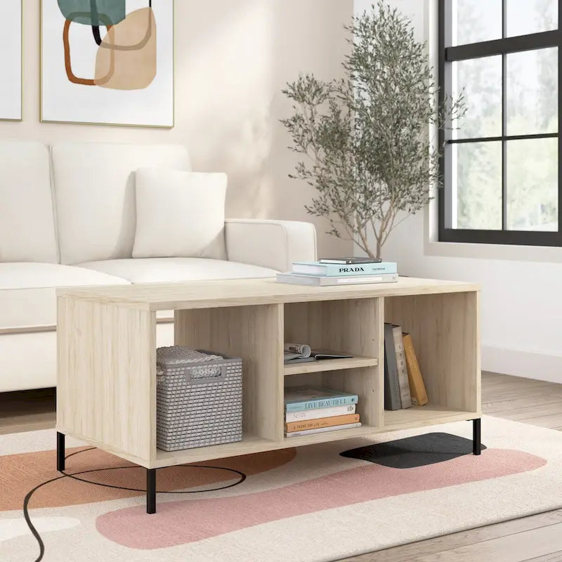 Table basse de salon avec étagères